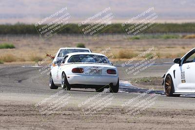 media/Oct-04-2025-OnGrid (Sat) [[44bd565ffa]]/Purple Group/Grapevine/